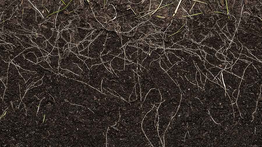 Shutterstock - Soil - SML - 900x506