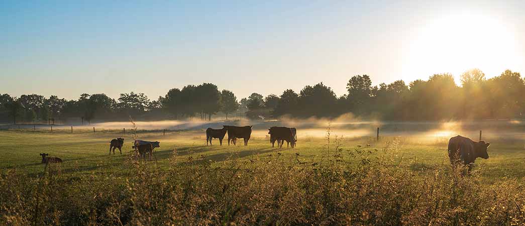 Landing Page - Farming Operations - SML - 1045x450