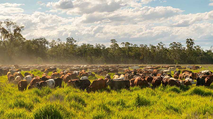 Landing Page - Farming Systems - SML - 900x506